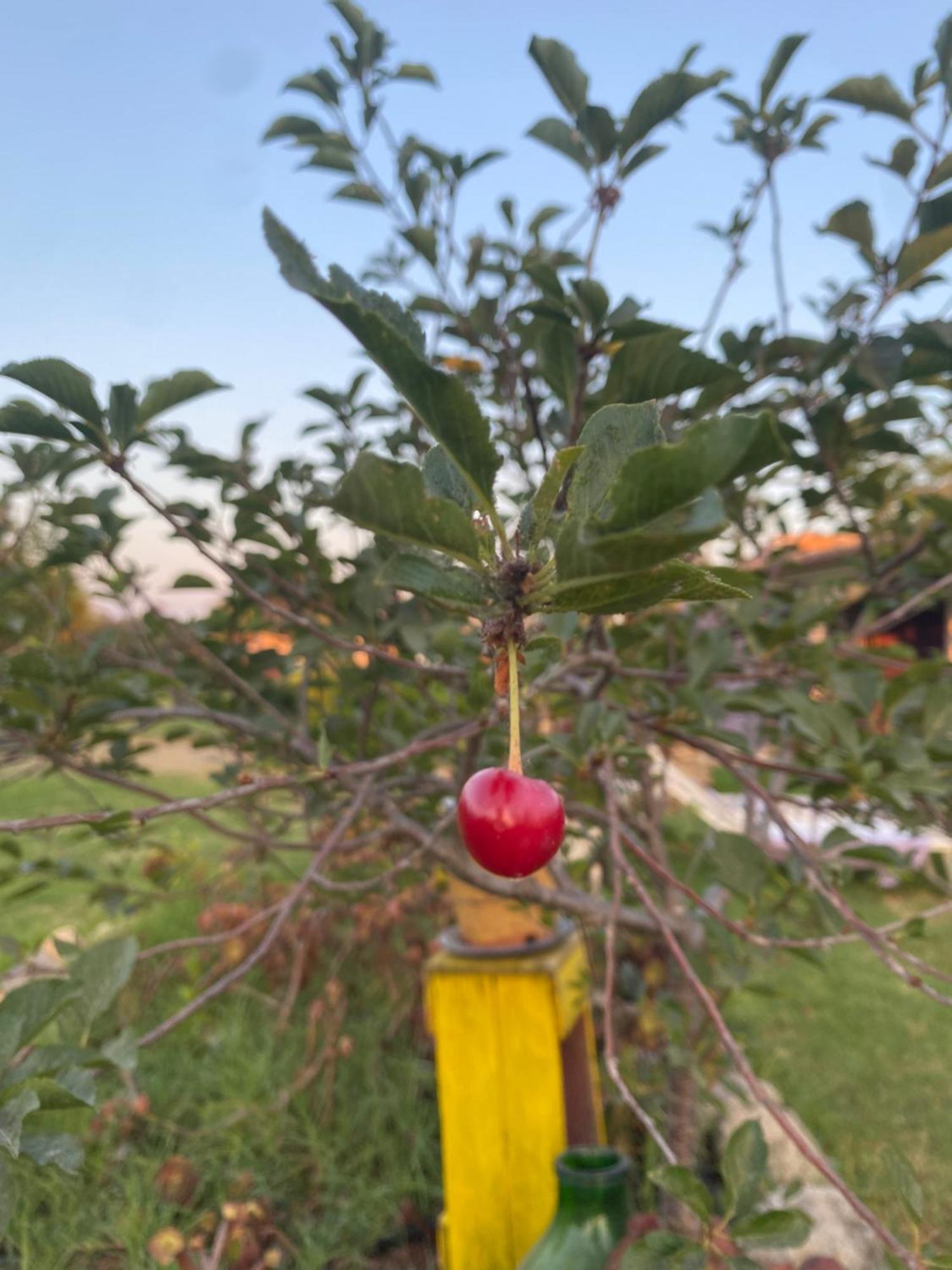Agrib&B Lemontree Garde'N Syrakus Exterior foto